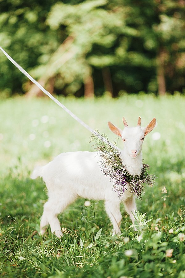 Алина и Глеб