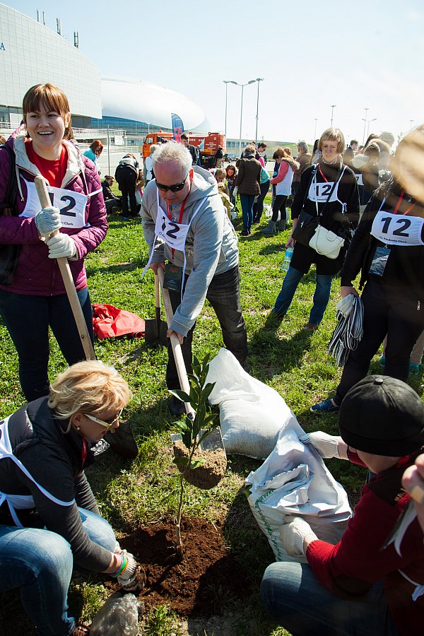 Конференция Kimberly- Clark 