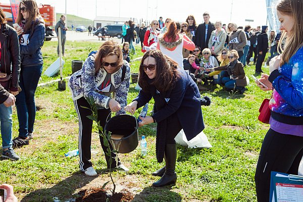 Конференция Kimberly- Clark 