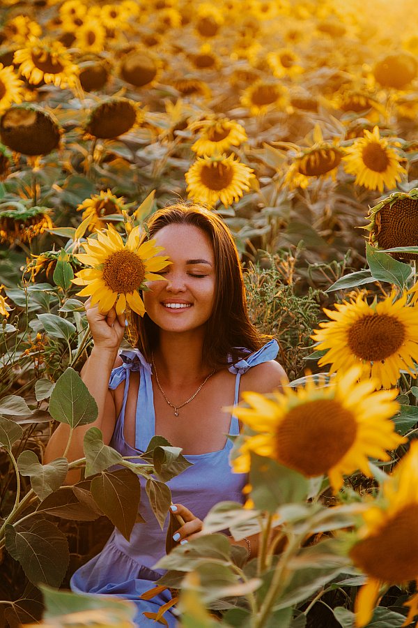 Лавстори в подсолнухах