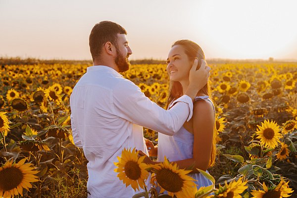 Лавстори в подсолнухах