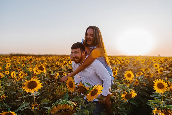 Лавстори в подсолнухах