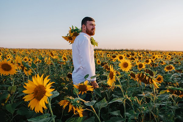 Лавстори в подсолнухах
