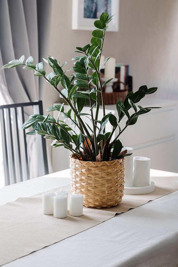 Фотосъемка архитектуры