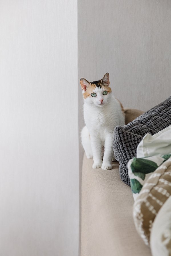 Фотосъемка архитектуры