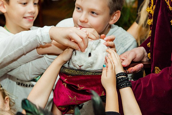 ДЕТСКИЙ ДЕНЬ РОЖДЕНИЯ "ПРИНЦЕССЫ И ВЕДЬМОЧКИ"